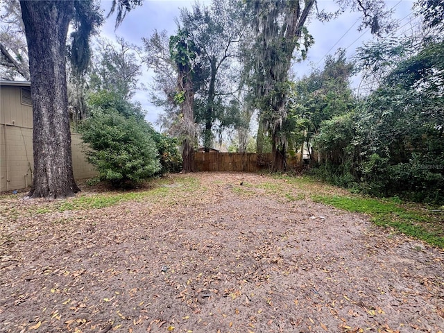 115 S Lake Pleasant Rd, Apopka, FL 32703 - view of yard