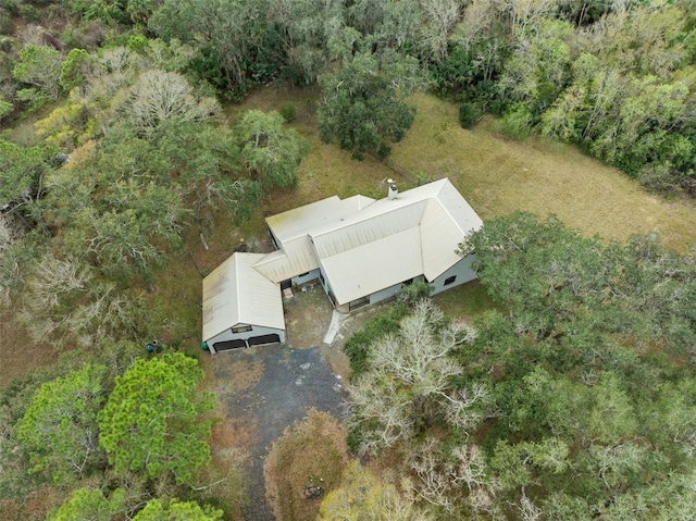 bird's eye view