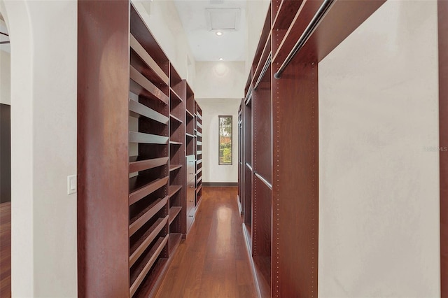 walk in closet featuring dark wood finished floors