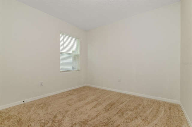 empty room with carpet flooring and a textured ceiling