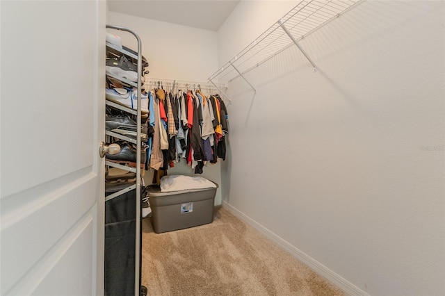 spacious closet with light colored carpet