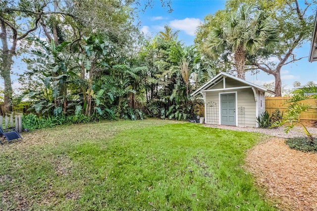 view of yard with a storage shed