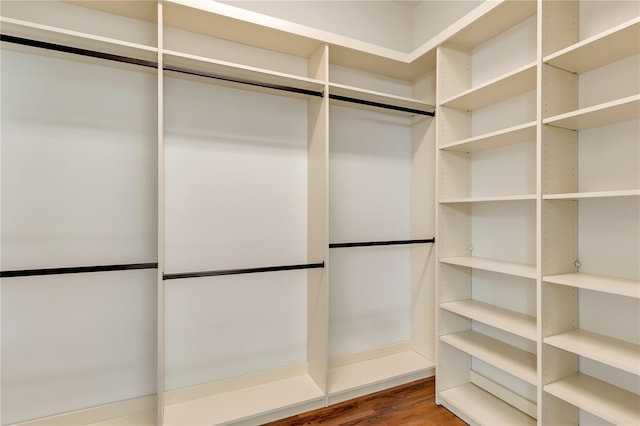 walk in closet featuring wood finished floors