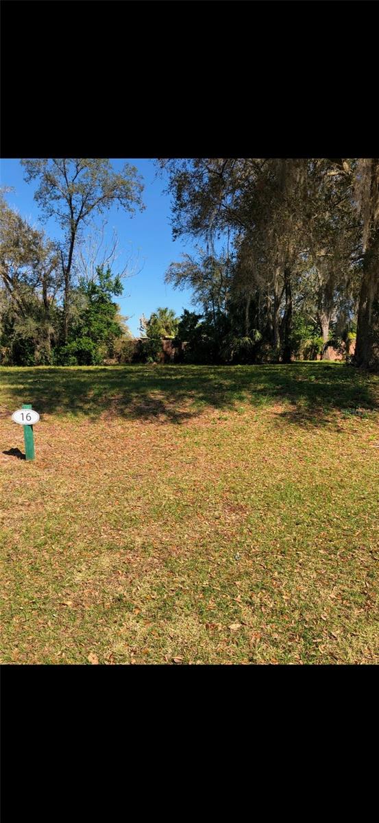 29523 Chapel Park Dr, Wesley Chapel FL, 33543 land for sale