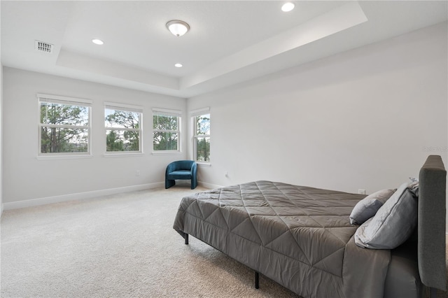 carpeted bedroom featuring a tray ceiling