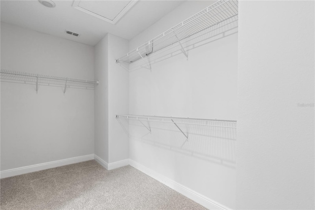 spacious closet featuring carpet flooring