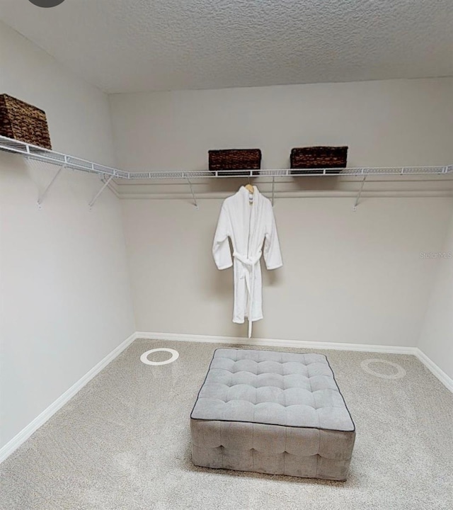 walk in closet with carpet floors