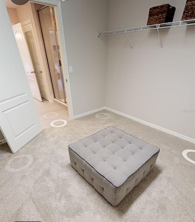 spacious closet featuring carpet