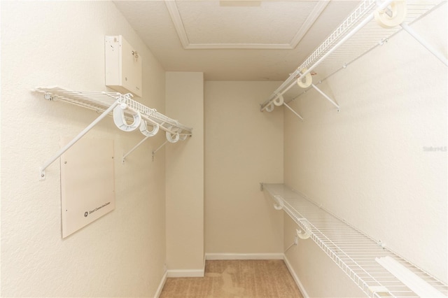 walk in closet featuring carpet flooring