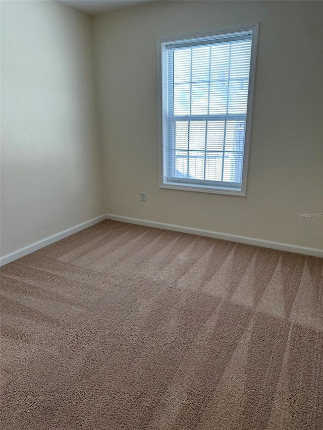 spare room with carpet floors