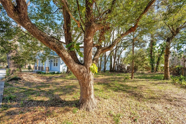 Listing photo 2 for 1107 S Palmetto Ave, Sanford FL 32771