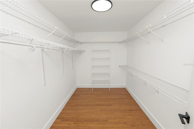 spacious closet featuring wood finished floors