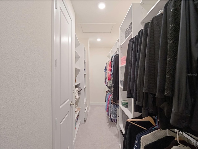 walk in closet with light carpet and attic access