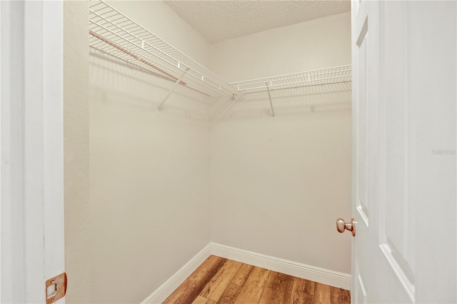 walk in closet featuring hardwood / wood-style floors