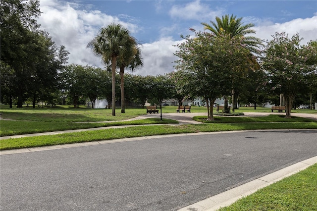 view of home's community with a yard