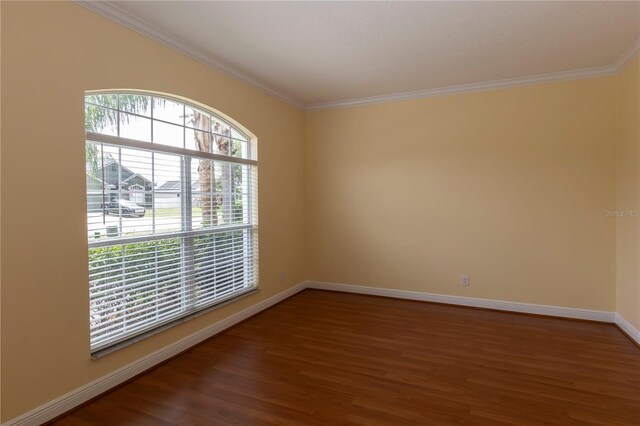15313 Hayworth Dr, Winter Garden, FL 34787 - photo 5