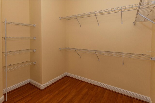 15313 Hayworth Dr, Winter Garden, FL 34787 - photo 20