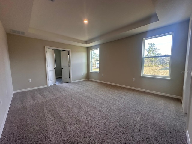 unfurnished bedroom featuring carpet floors and a raised ceiling