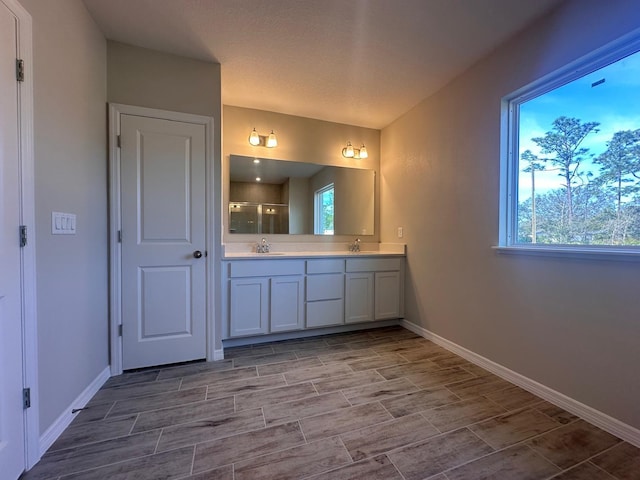 bathroom with walk in shower and vanity