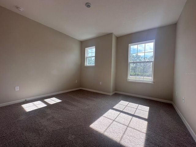 carpeted empty room featuring a healthy amount of sunlight