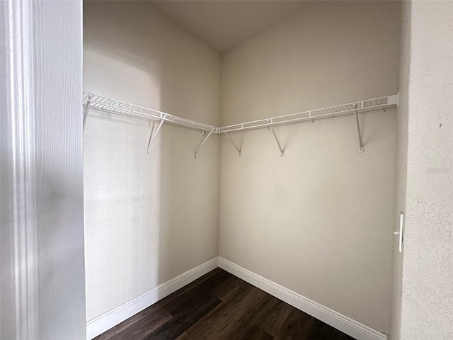 spacious closet featuring dark wood-type flooring