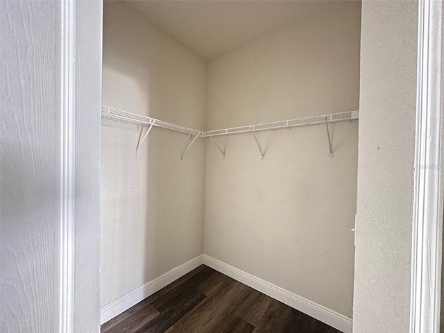 spacious closet with dark hardwood / wood-style flooring