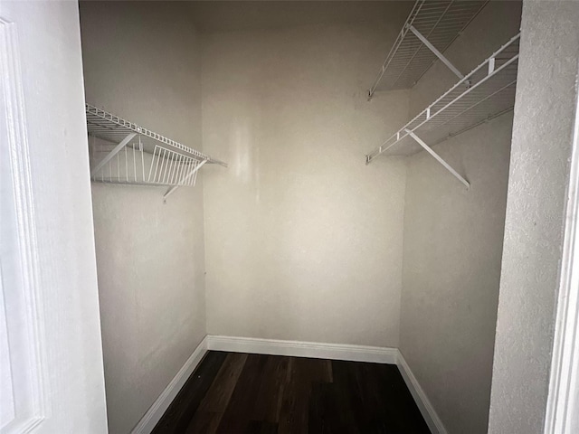 walk in closet featuring hardwood / wood-style floors