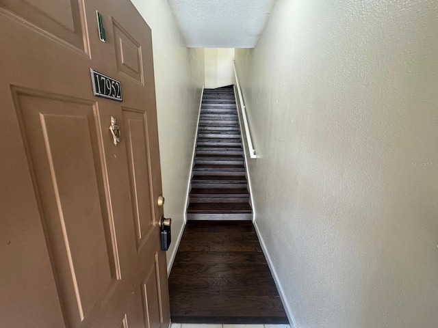 17952 Villa Creek Dr Unit 17952, Tampa, FL 33647 - photo 2