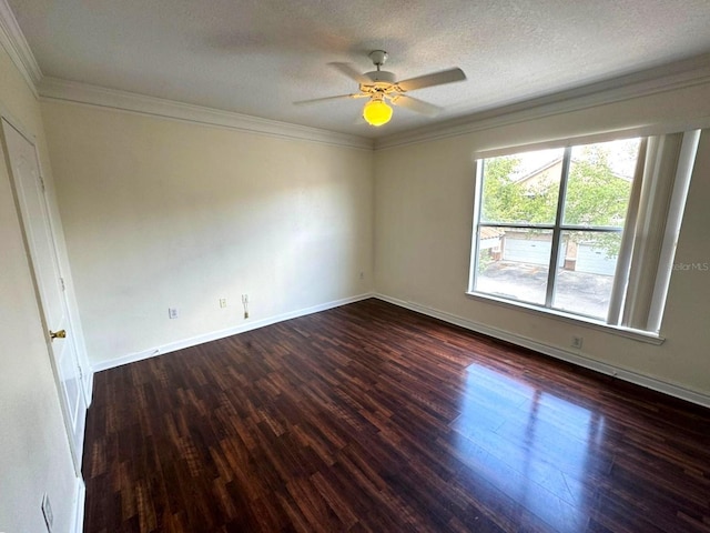 17952 Villa Creek Dr Unit 17952, Tampa, FL 33647 - photo 9