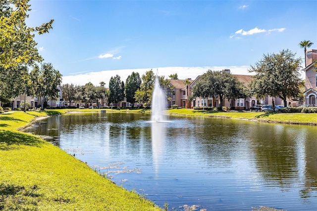 17952 Villa Creek Dr Unit 17952, Tampa, FL 33647 - photo 17