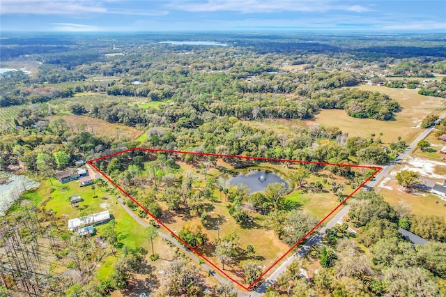 503 Cemetery Rd, Geneva FL, 32732 land for sale