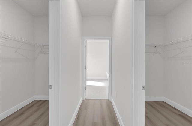 walk in closet with light wood-type flooring