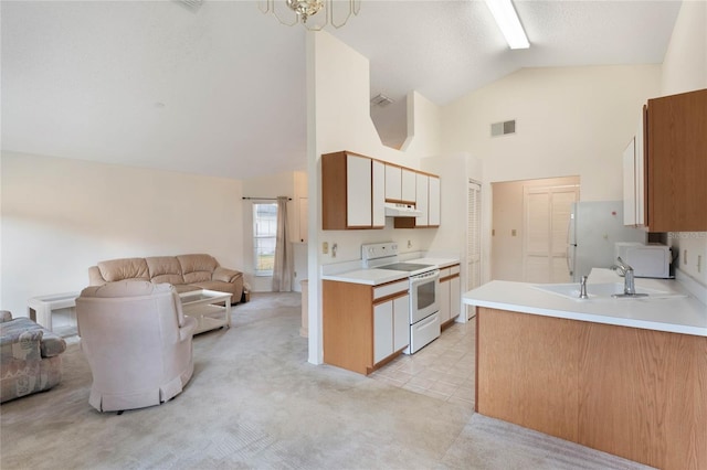 kitchen featuring sink, light colored carpet, white cabinets, and white appliances