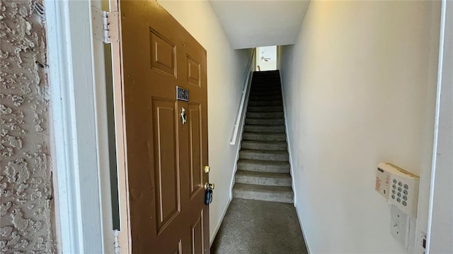 stairs with carpet flooring