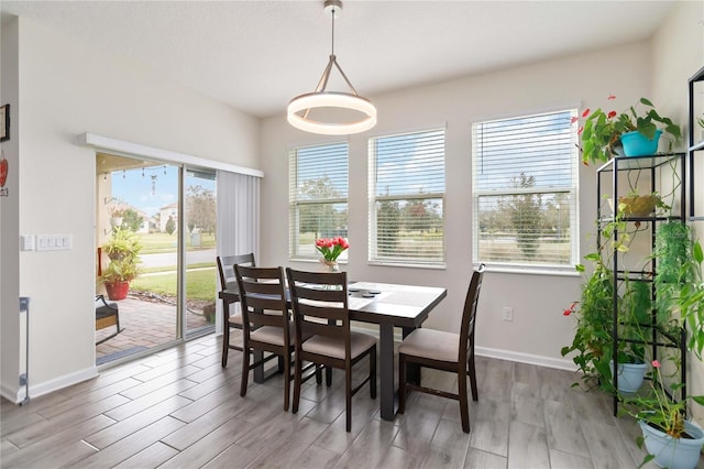 dining space featuring light hardwood / wood-style flooring