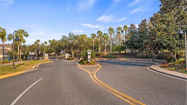 view of street featuring street lighting, a gated entry, and curbs