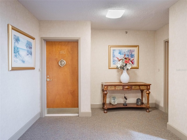 interior space featuring carpet and a textured ceiling