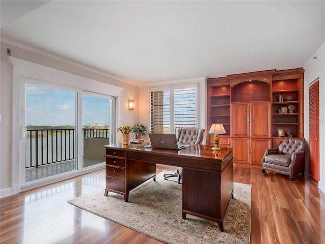 office area featuring crown molding and light hardwood / wood-style floors