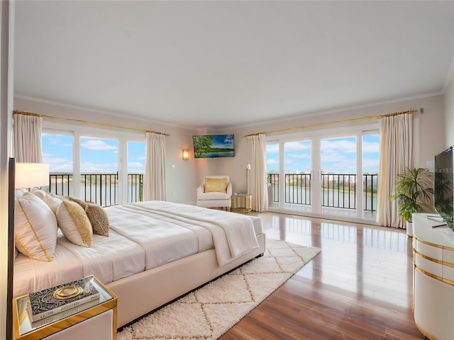 bedroom featuring multiple windows, access to exterior, and hardwood / wood-style floors