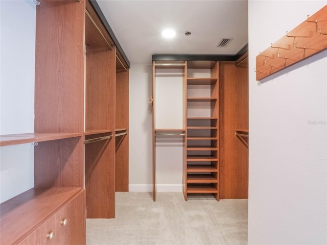 spacious closet with light colored carpet