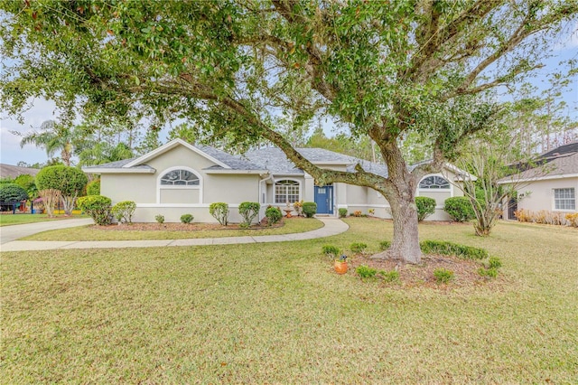 ranch-style home with a front yard