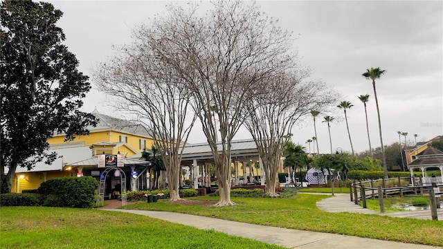 view of community with a lawn