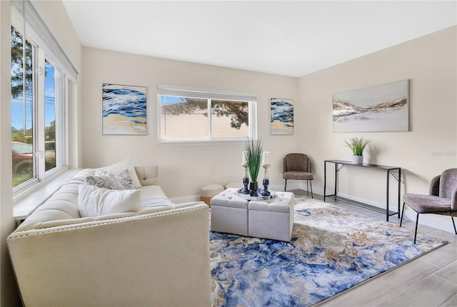 living room featuring hardwood / wood-style flooring