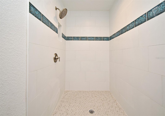 1611 Chestnut Ave, Winter Park, FL 32789 - bathroom with tiled shower