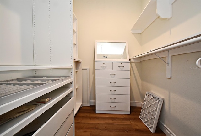 1611 Chestnut Ave, Winter Park, FL 32789 - walk in closet featuring dark wood-type flooring