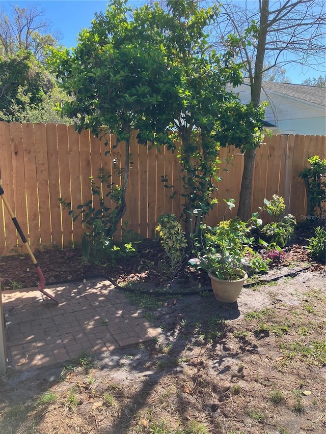 1611 Chestnut Ave, Winter Park, FL 32789 - view of yard