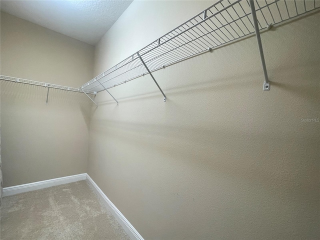 spacious closet with carpet floors