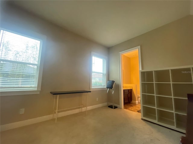 interior space with carpet and baseboards