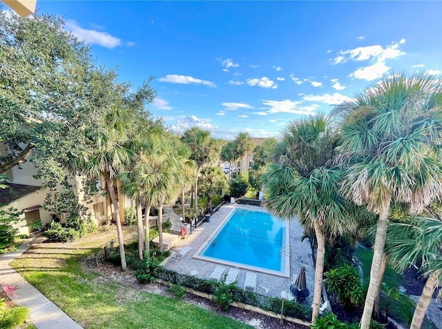 view of pool with a yard and a patio area