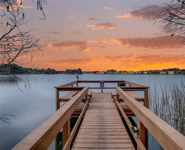 dock area with a water view